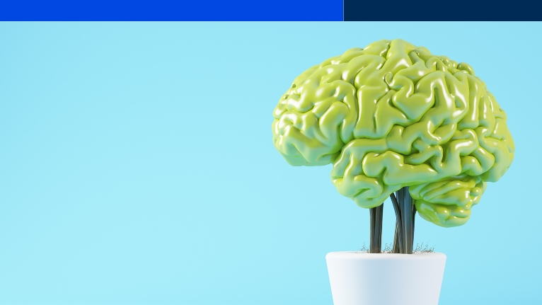 Psicobiologia e Psicologia Fisiologica (M-PSI/02) – CFU 12