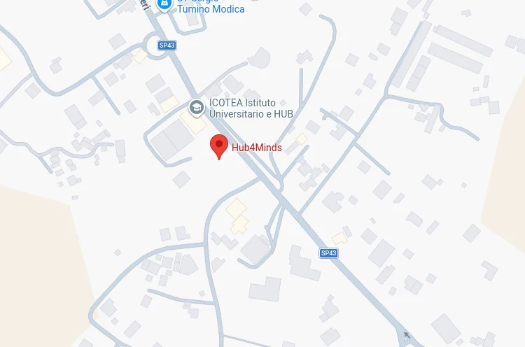 Anteprima google maps